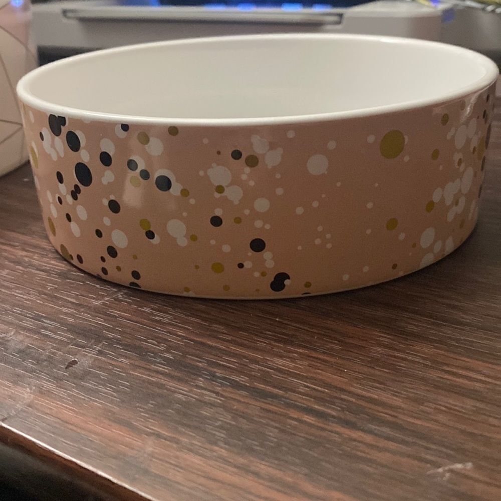 Pet Bowl 2 Piece Set Feeding Bowl Set Pet Supplies